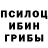 Псилоцибиновые грибы Psilocybe Malik Bidibekov