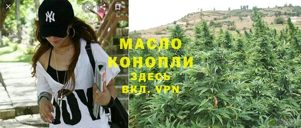 эйфоретик Горняк