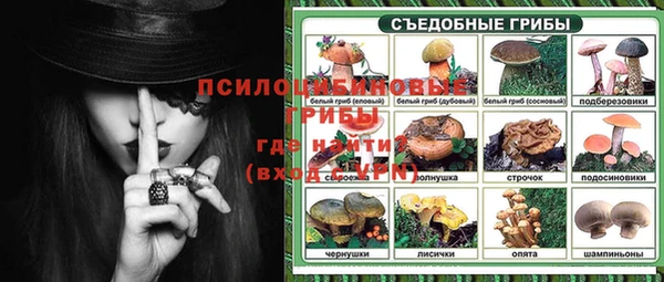 apvp Горно-Алтайск